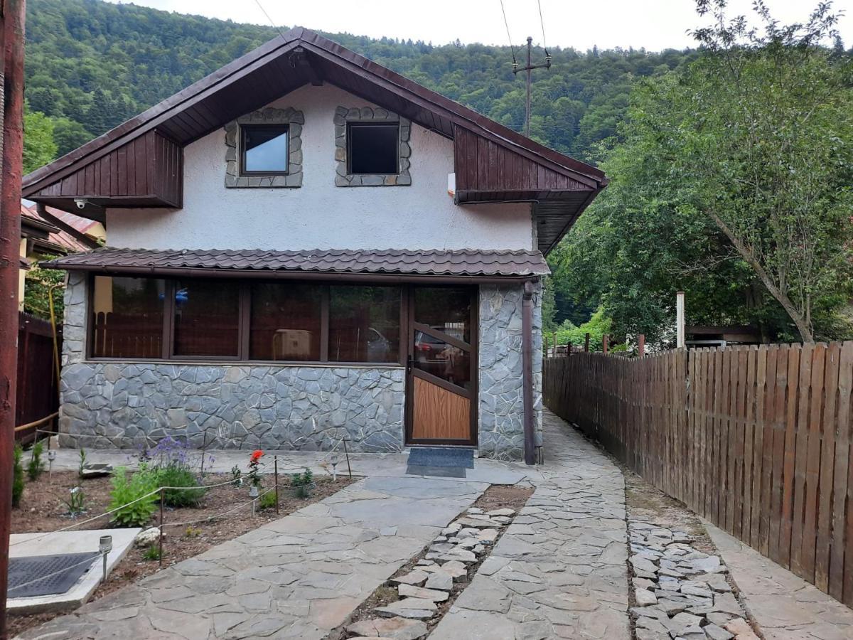 Casa Crissio Villa Sinaia Kültér fotó