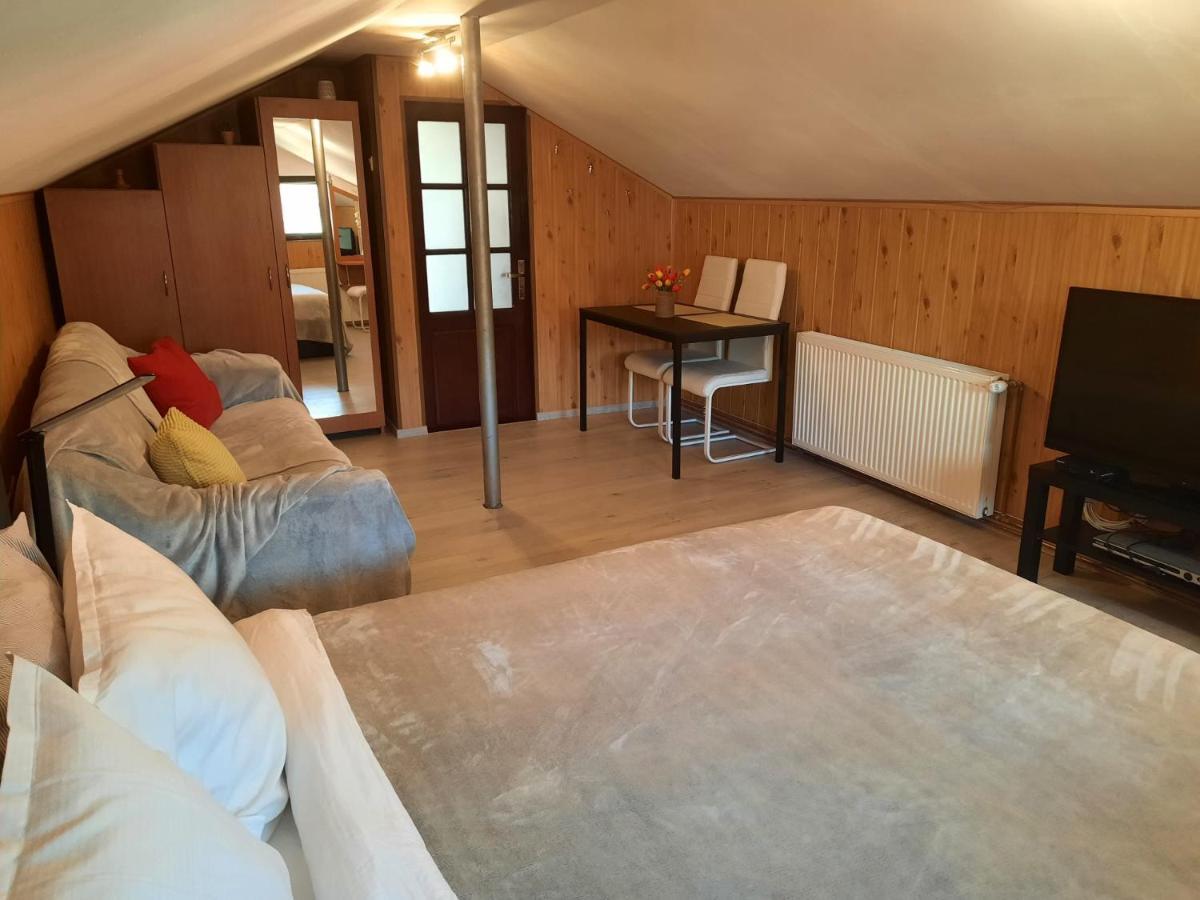 Casa Crissio Villa Sinaia Kültér fotó
